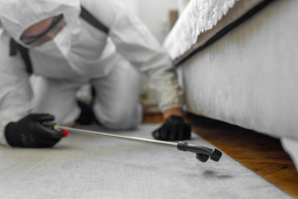 Professional Bed Bug Control technician working in North Middletown, NJ