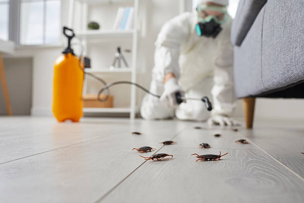 Trusted Cockroach Control service in North Middletown, NJ - Nex Pest Control